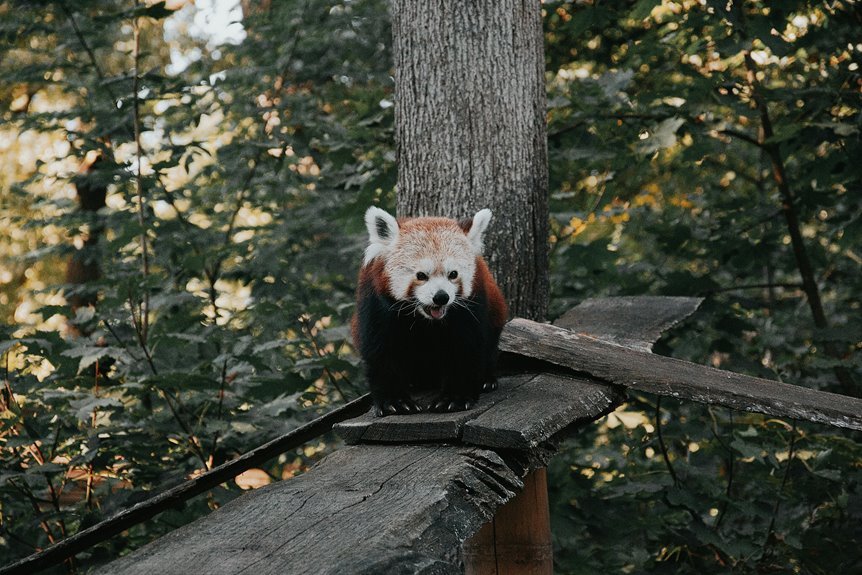 brightcrown partition log entry