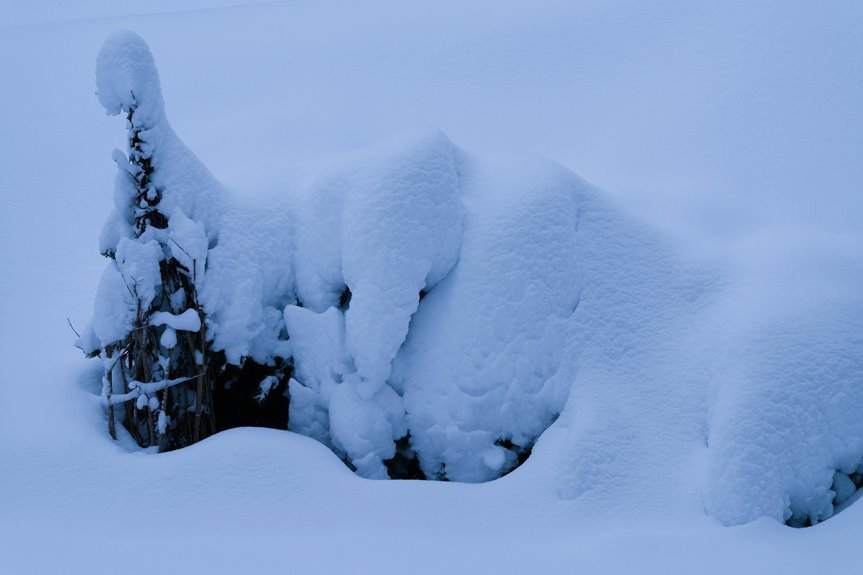 moonridge drift index number