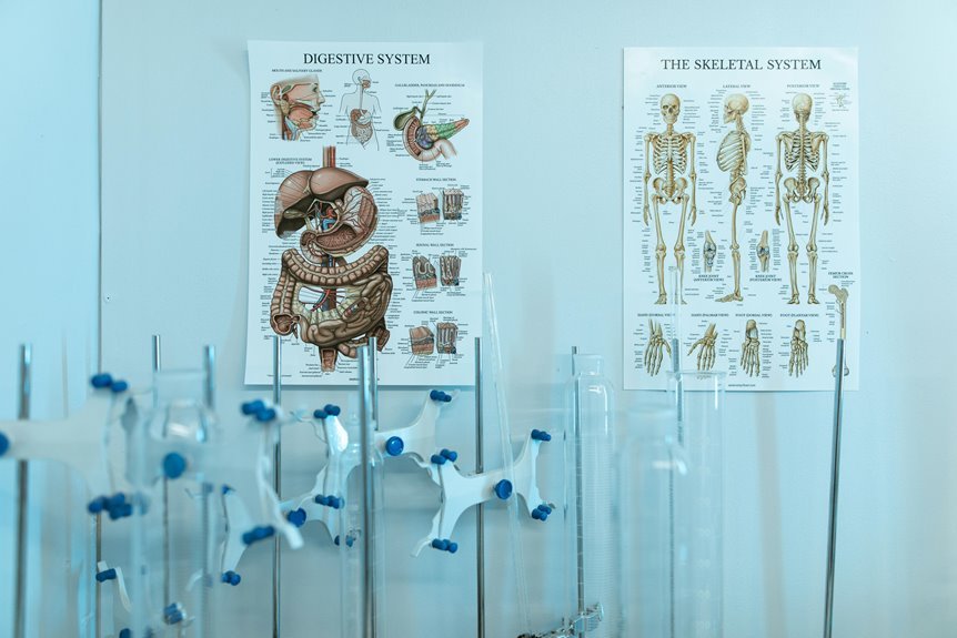 kernel cyber system digest